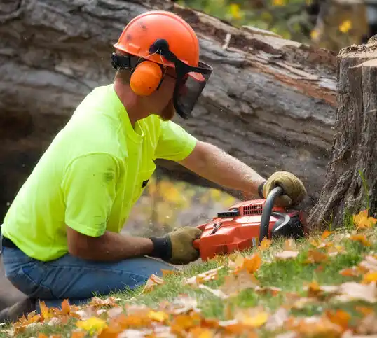 tree services Graham